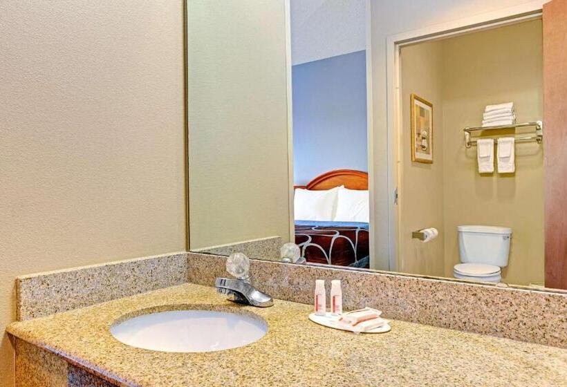 스탠다드 룸 킹사이즈 침대, Super 8 By Wyndham Smithfield Selma