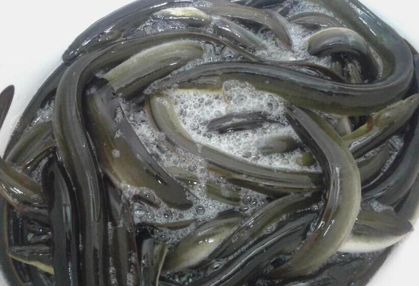 חדר קלאסי, Guest House Fosa