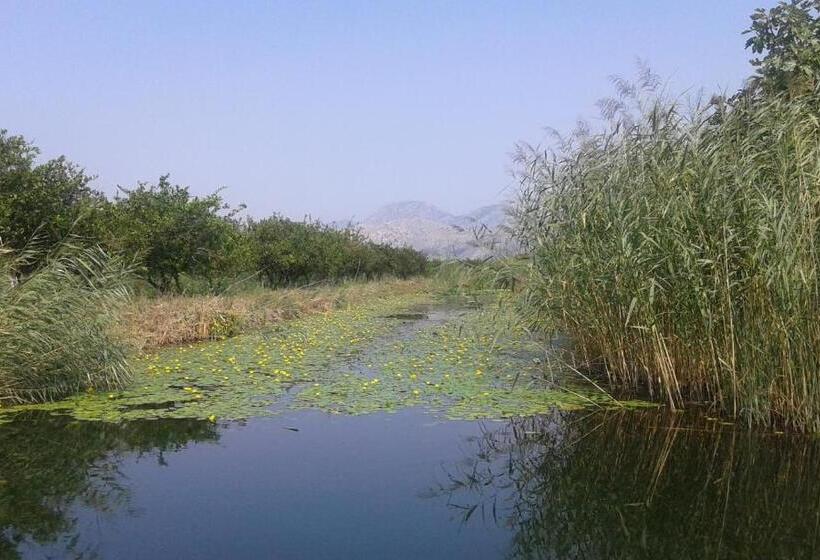 סוויטה, Guest House Fosa