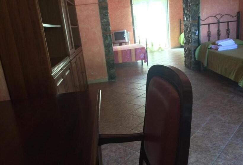 スタンダード４人部屋, Società Agricola Mg Florplant