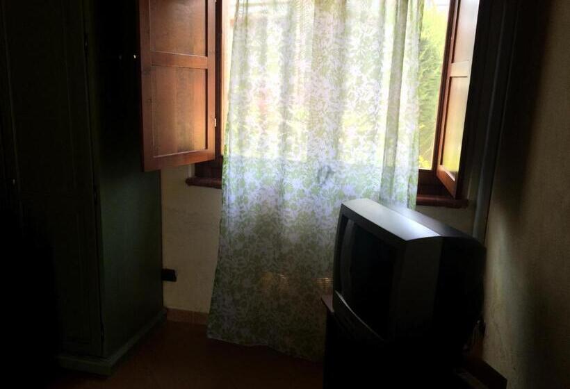 スタンダードトリプルルーム, Società Agricola Mg Florplant