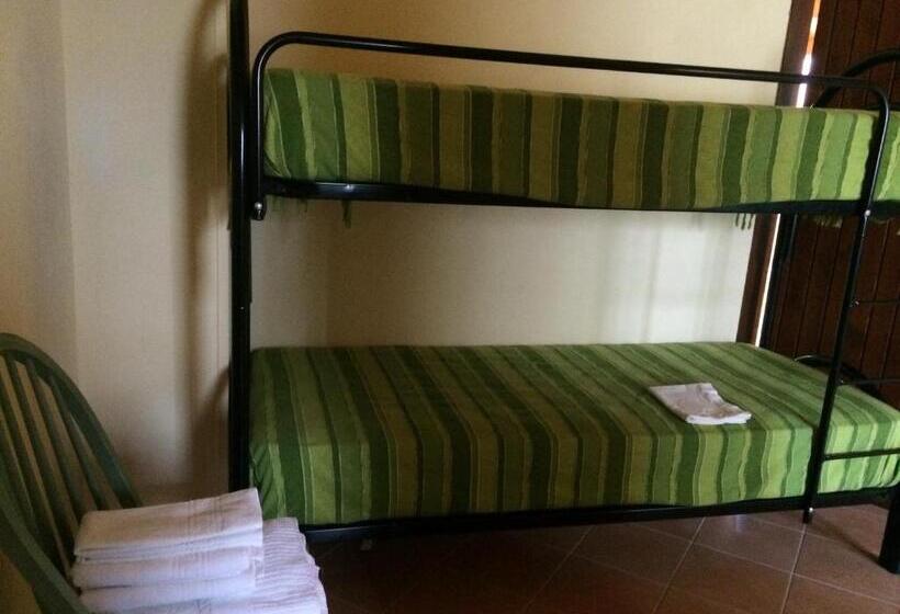 スタンダードトリプルルーム, Società Agricola Mg Florplant