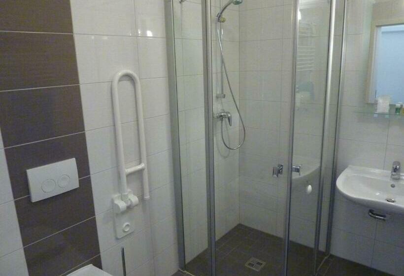 身障者適用シングルルーム, Kyffhäuserhotel Goldene Aue