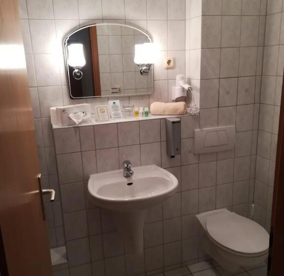 エコノミールーム, Kyffhäuserhotel Goldene Aue