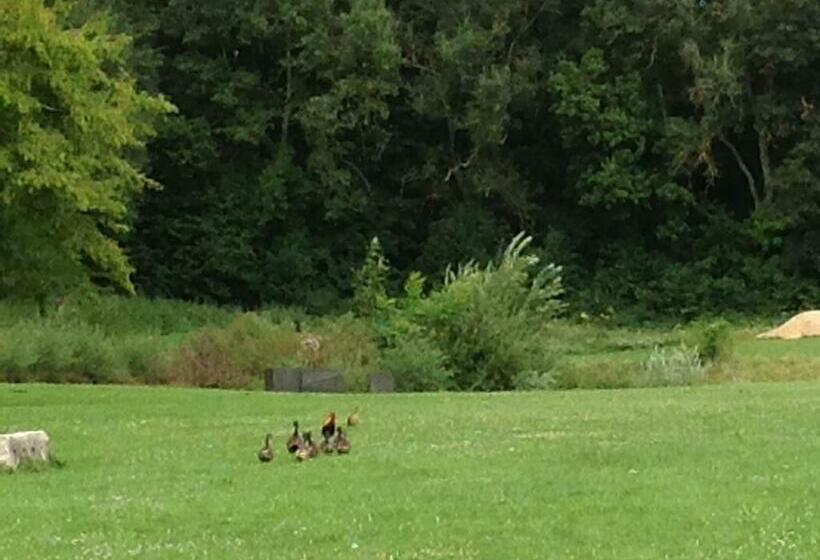 스위트, Le Colombier De La Graverie