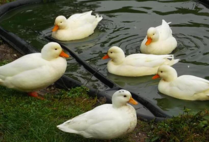 标准间, Chambre D Hôtes Etretat