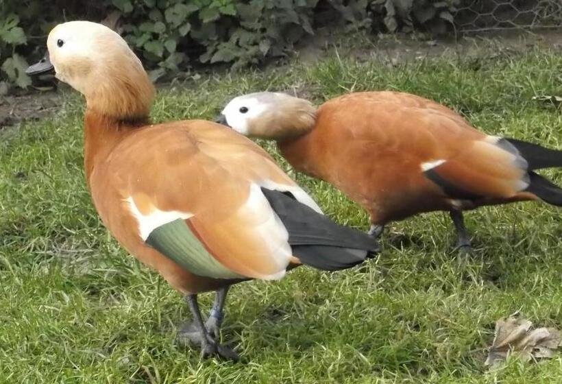 标准间, Chambre D Hôtes Etretat