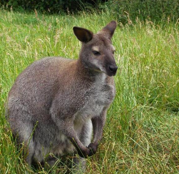 标准间, Chambre D Hôtes Etretat