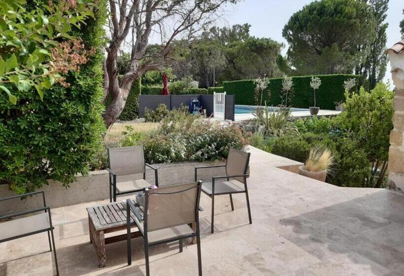 חדר משפחתי, Le Vieux Platane