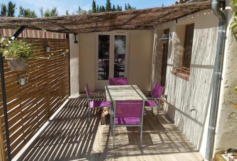 דירת שני חדרים, Le Vieux Platane