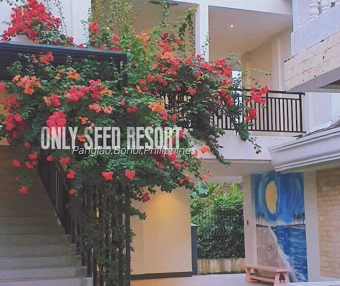 سوئیت دلوکس 2 خوابه, Only Seed Resort 欧芮希度假酒店