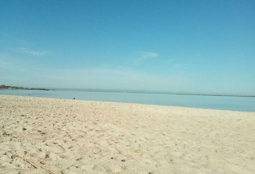 小型套房带阳台, Beach Club Junior Suite