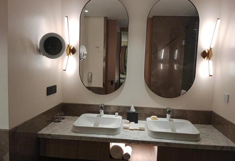 디럭스 룸, Radisson Blu Mumbai International Airport