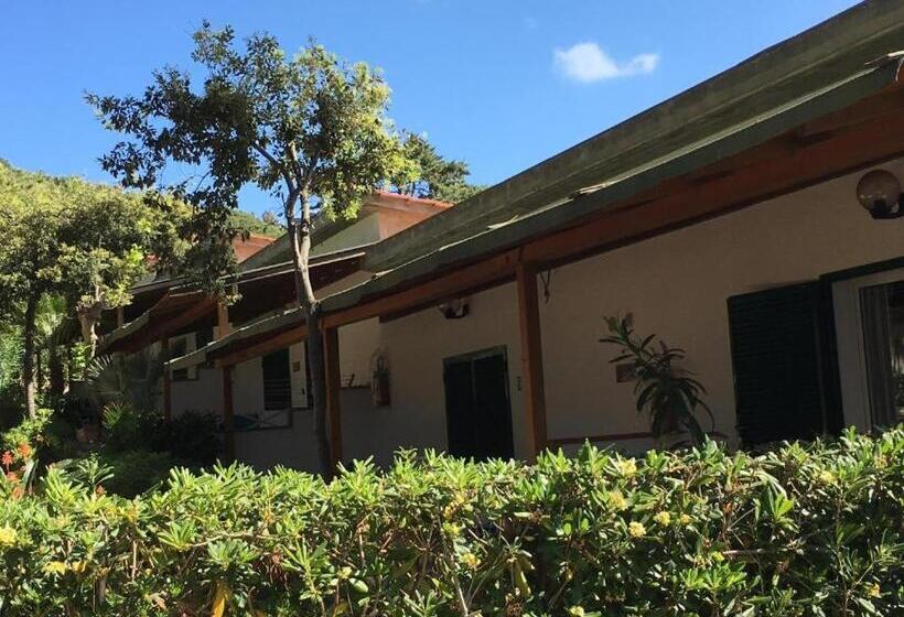 דירת חדר, Mandel 2 Residence