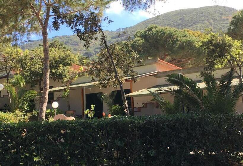 סטודיו משפחתי, Mandel 2 Residence