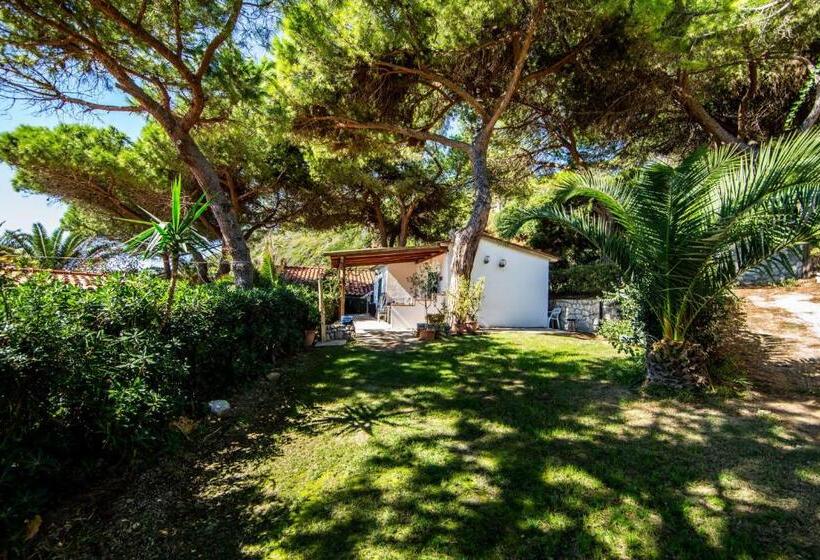 آپارتمان 1 خوابه با چشم‌انداز دریا, Mandel 2 Residence