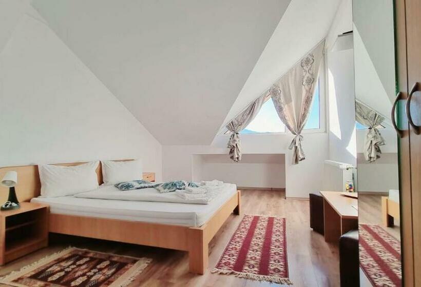 Cameră Standard, Motel Prislop
