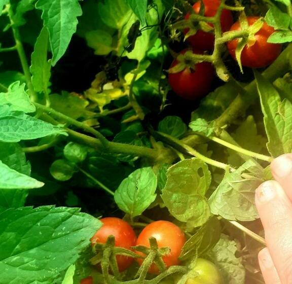 标准间, Pousada Do Sossego