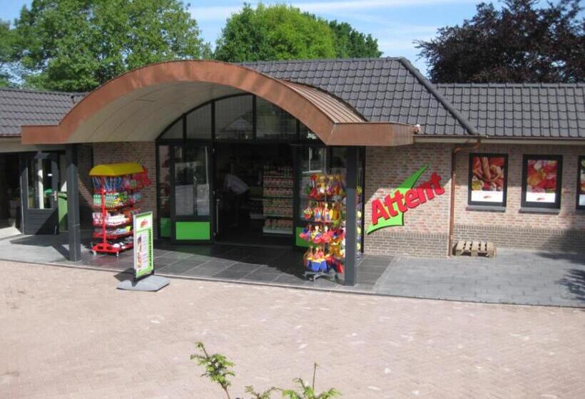 Апартаменты 1 Спальня, 2 Persoons Hotelkamer