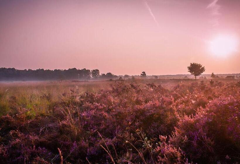 Апартаменты 1 Спальня, 2 Persoons Hotelkamer