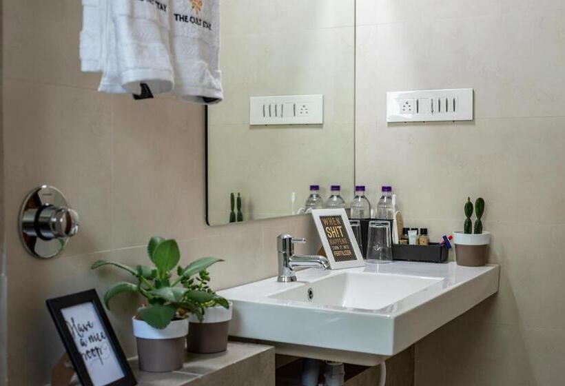 סטודיו סופריור, The Cult Stay