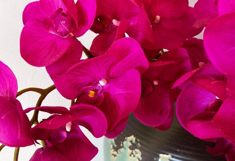 غرفة قياسية سرير كينج, Ciel Y Miel