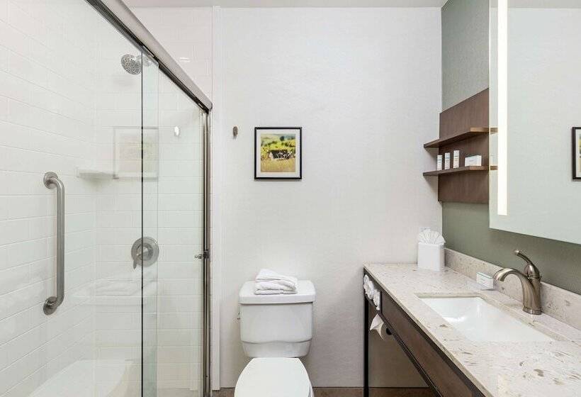 סוויטת ג'וניור, Hilton Garden Inn Davis Downtown