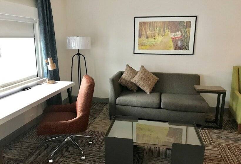 סוויטת ג'וניור, Hilton Garden Inn Davis Downtown