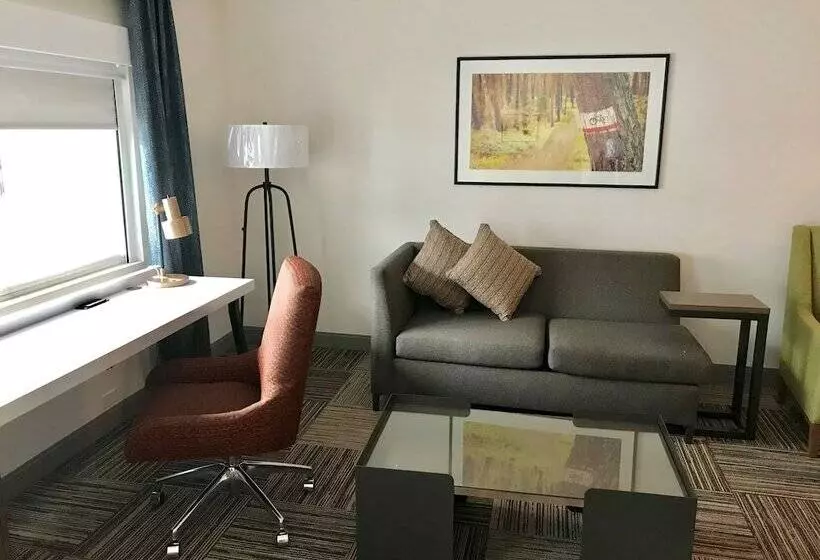 سوییت جونیور, Hilton Garden Inn Davis Downtown