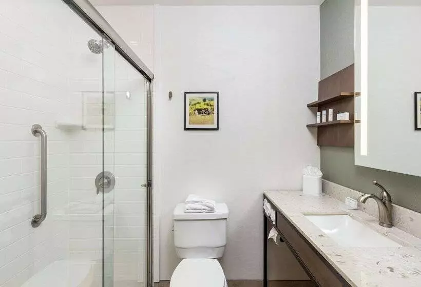 اتاق استاندارد با 2 تخت دوبل, Hilton Garden Inn Davis Downtown