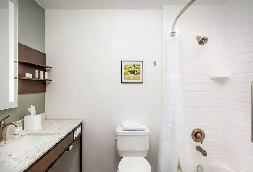 اتاق استاندارد با 2 تخت دوبل, Hilton Garden Inn Davis Downtown