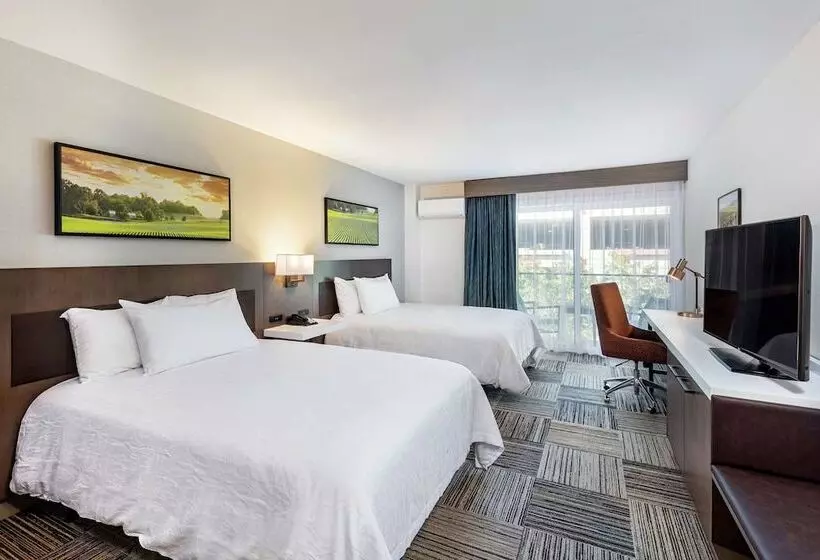 اتاق استاندارد با 2 تخت دوبل, Hilton Garden Inn Davis Downtown