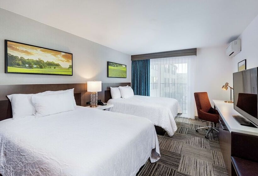 스탠다드 룸 더블 침대 2개, Hilton Garden Inn Davis Downtown