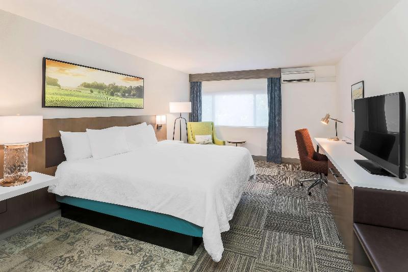 스탠다드 룸 킹사이즈 침대, Hilton Garden Inn Davis Downtown