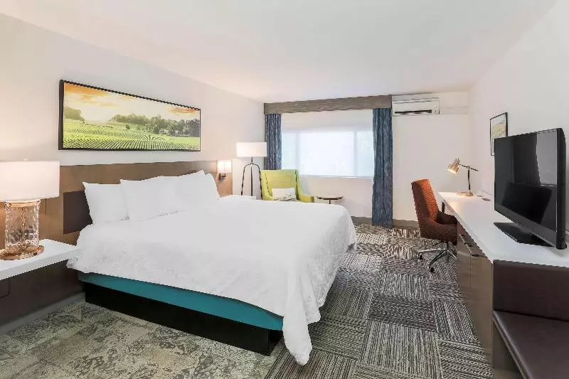 اتاق استاندارد با تخت بزرگ, Hilton Garden Inn Davis Downtown