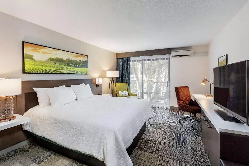 اتاق استاندارد با تخت بزرگ, Hilton Garden Inn Davis Downtown
