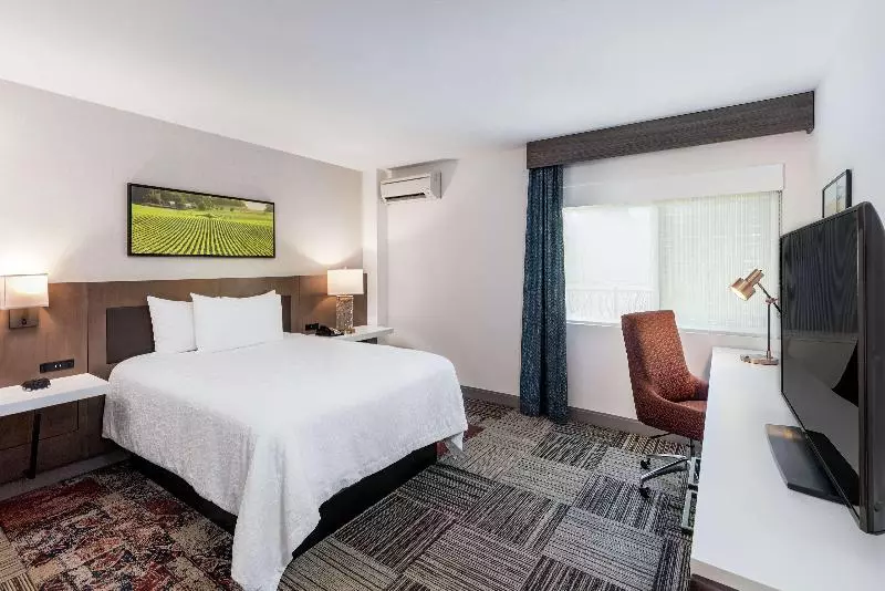 اتاق استاندارد با تخت بزرگ, Hilton Garden Inn Davis Downtown