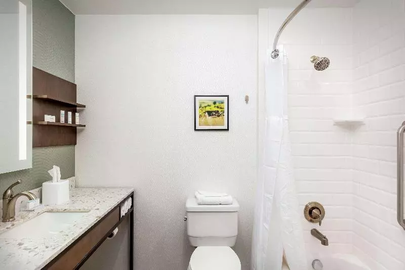 اتاق استاندارد با تخت بزرگ, Hilton Garden Inn Davis Downtown