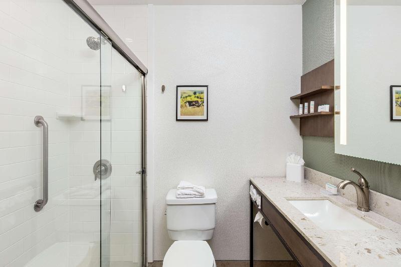 חדר סטנדרט עם מיטת קינג, Hilton Garden Inn Davis Downtown