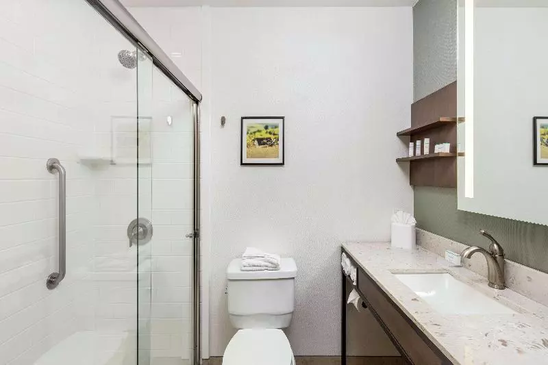 سوئیت با تخت بزرگ, Hilton Garden Inn Davis Downtown