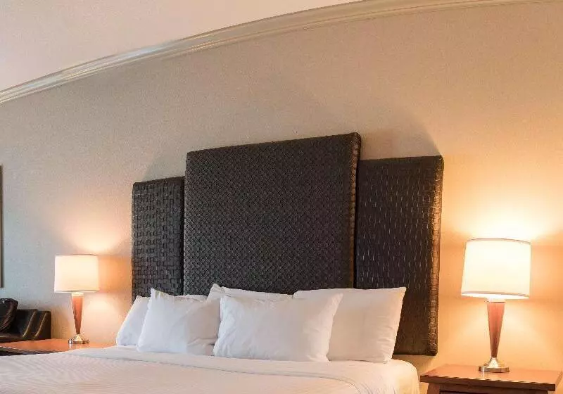 اتاق استاندارد برای معلولان, Hilton Garden Inn Davis Downtown