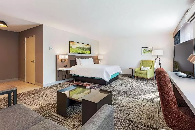 سوئیت جونیور با تخت بزرگ, Hilton Garden Inn Davis Downtown