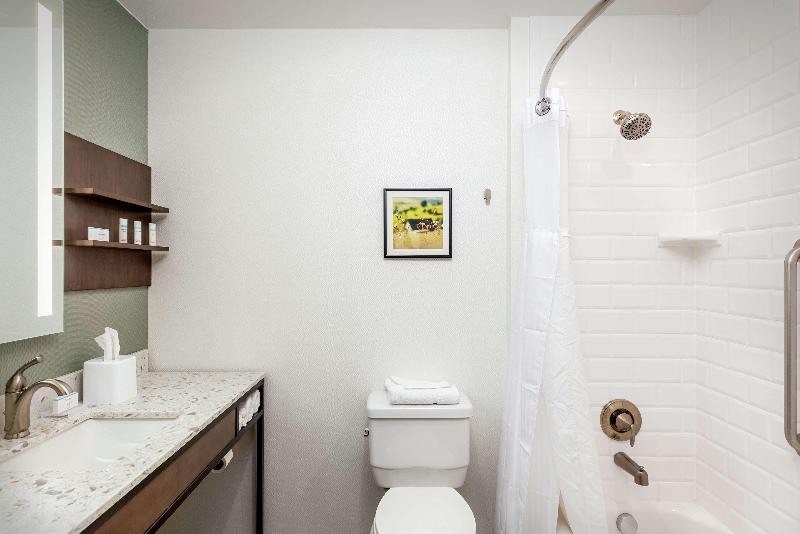 סוויטת ג'וניור מיטת קינג, Hilton Garden Inn Davis Downtown