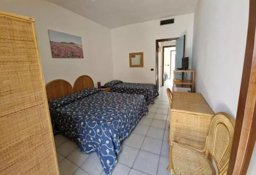 Quarto Quádruplo Standard, Solara