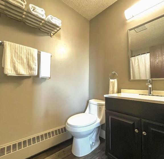 스탠다드 룸, 7 Day S