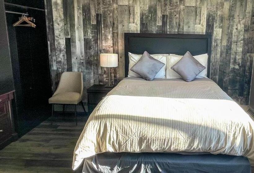 스탠다드 룸, 7 Day S