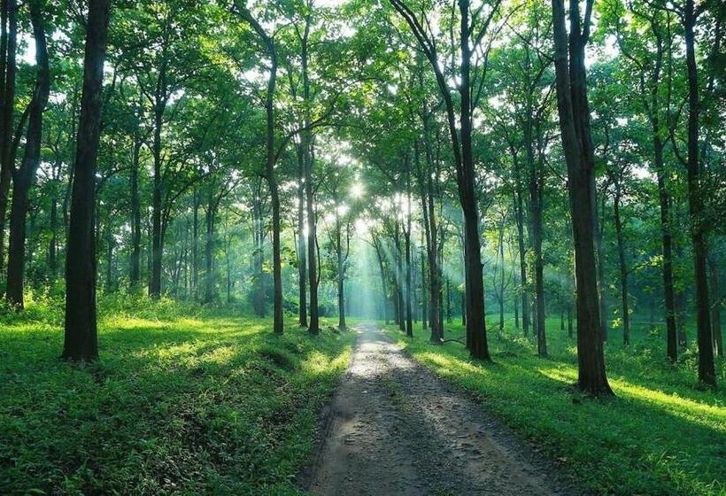 Fyrbädds Standardrum, Royal Cottage, Anaimalai Room 6