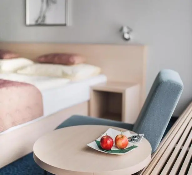 Standard Room, Split