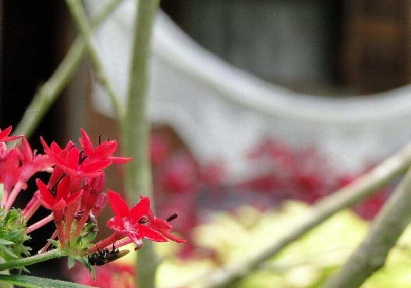 一居室别墅, Pousada Romântica Serra Da Mata