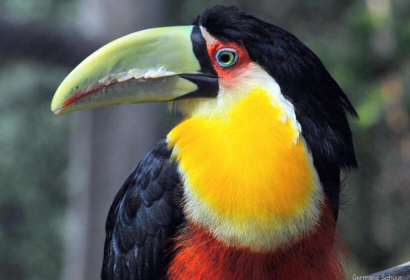 豪华房间, Pousada Romântica Serra Da Mata